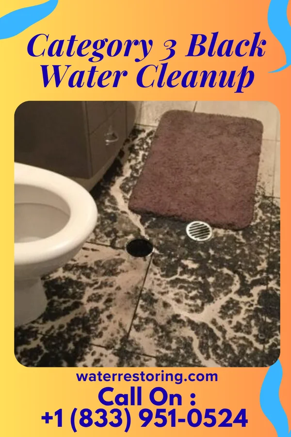 Category 3 Black Water Cleanup in Rawls Springs, MS
