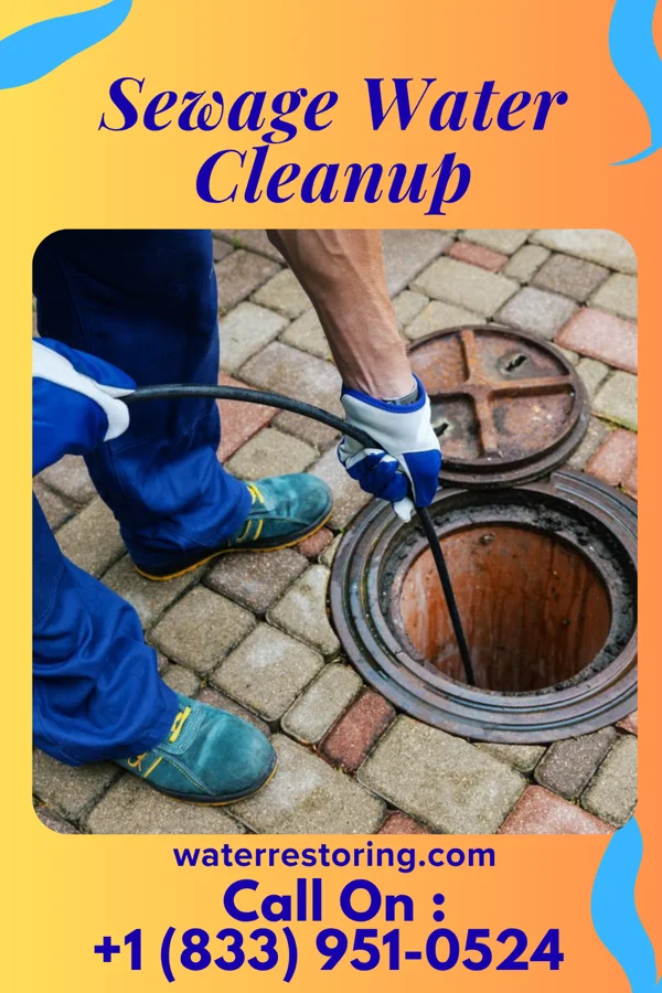Sewage Water Cleanup in Rawls Springs, MS